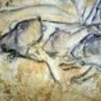 Click para ampliar. Pulsa en el nombre para ver la ficha. Leones, cueva Chauvet, Francia.